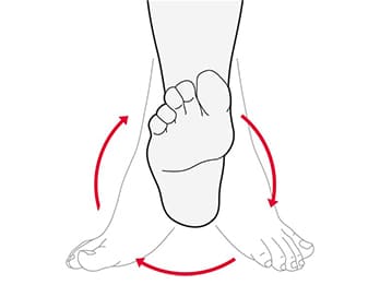Ankle Rotations