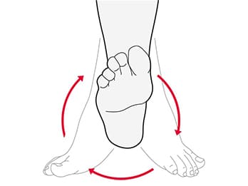 Ankle Rotations