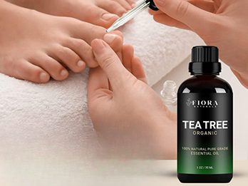 Tea Tree Oil 